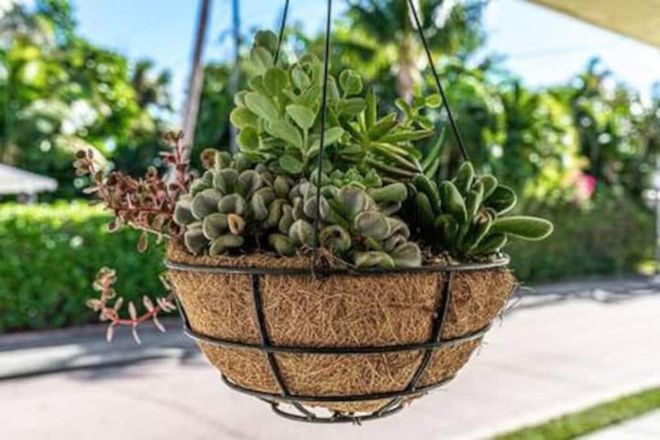 Olive Apart Unit 1 By Pmi West Palm Beach Luaran gambar
